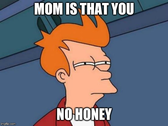 Futurama Fry | MOM IS THAT YOU; NO HONEY | image tagged in memes,futurama fry | made w/ Imgflip meme maker