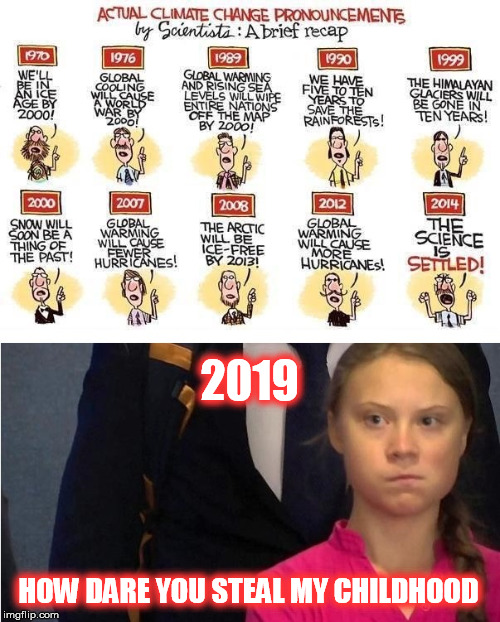 2019 HOW DARE YOU STEAL MY CHILDHOOD | image tagged in greta thunberg,climate change hoax,stupid liberals,child abuse | made w/ Imgflip meme maker