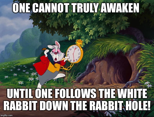 White Rabbit Alice in "onderland | ONE CANNOT TRULY AWAKEN; UNTIL ONE FOLLOWS THE WHITE RABBIT DOWN THE RABBIT HOLE! | image tagged in white rabbit alice in onderland | made w/ Imgflip meme maker