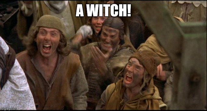 Monty Python witch | A WITCH! | image tagged in monty python witch | made w/ Imgflip meme maker