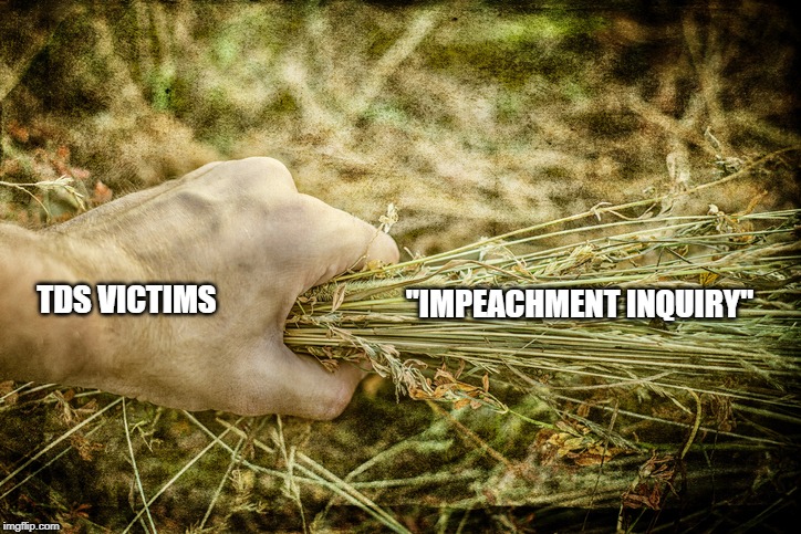 "IMPEACHMENT INQUIRY"; TDS VICTIMS | image tagged in impeachment,trump derangement syndrome | made w/ Imgflip meme maker
