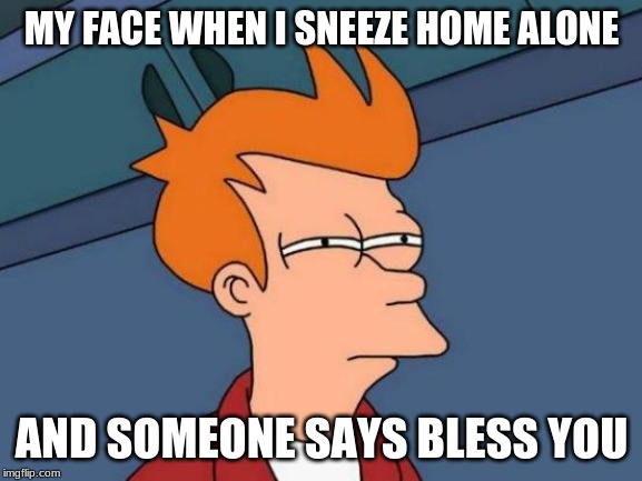 Futurama Fry Meme | MY FACE WHEN I SNEEZE HOME ALONE; AND SOMEONE SAYS BLESS YOU | image tagged in memes,futurama fry | made w/ Imgflip meme maker