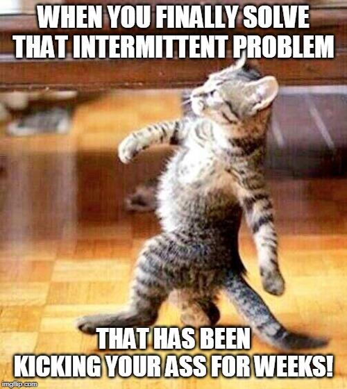 WHEN YOU FINALLY SOLVE THAT INTERMITTENT PROBLEM; THAT HAS BEEN KICKING YOUR ASS FOR WEEKS! | image tagged in funny memes | made w/ Imgflip meme maker