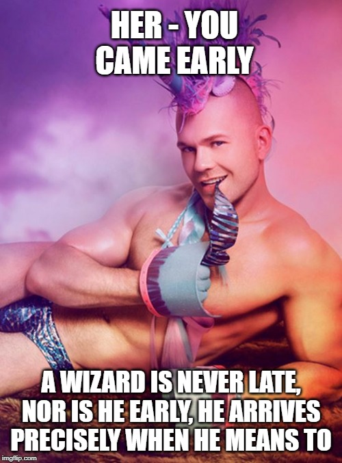 Sexy Gay Unicorn | HER - YOU CAME EARLY; A WIZARD IS NEVER LATE, NOR IS HE EARLY, HE ARRIVES PRECISELY WHEN HE MEANS TO | image tagged in sexy gay unicorn | made w/ Imgflip meme maker
