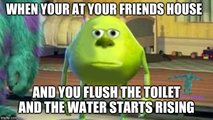 oh no | WHEN YOUR AT YOUR FRIENDS HOUSE; AND YOU FLUSH THE TOILET AND THE WATER STARTS RISING | image tagged in fun | made w/ Imgflip meme maker