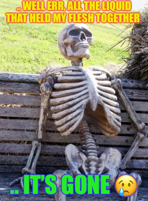 Waiting Skeleton Meme | .. WELL ERR, ALL THE LIQUID THAT HELD MY FLESH TOGETHER .. IT’S GONE ? | image tagged in memes,waiting skeleton | made w/ Imgflip meme maker