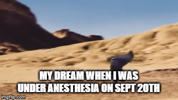 My dream when I was under anesthesia on sept 20th | MY DREAM WHEN I WAS UNDER ANESTHESIA ON SEPT 20TH | image tagged in gifs | made w/ Imgflip video-to-gif maker
