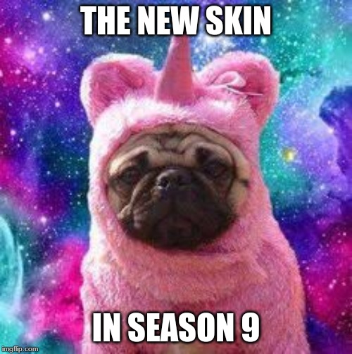THE NEW SKIN; IN SEASON 9 | image tagged in funny memes,fortnite | made w/ Imgflip meme maker
