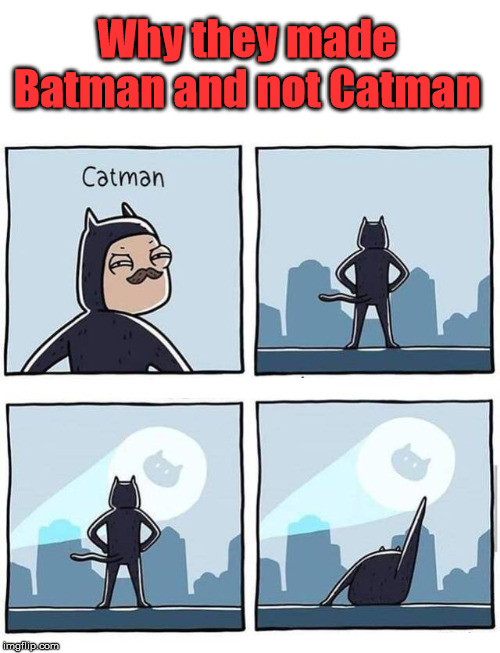 Why they made Batman and not Catman | image tagged in superheroes | made w/ Imgflip meme maker