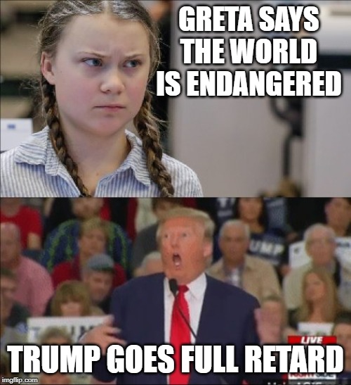 Trump - Greta Thunberg | GRETA SAYS THE WORLD IS ENDANGERED; TRUMP GOES FULL RETARD | image tagged in trump - greta thunberg | made w/ Imgflip meme maker