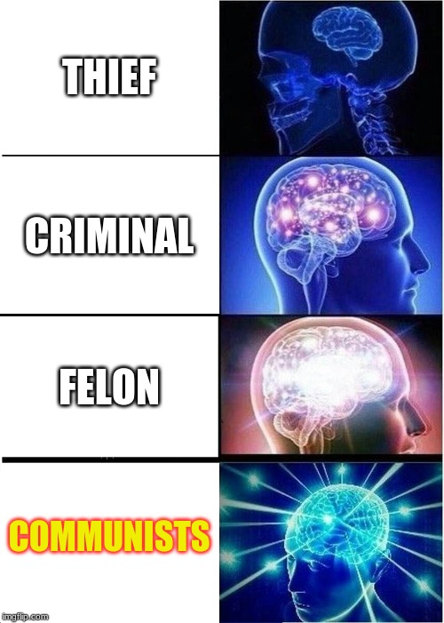 Expanding Brain Meme | THIEF; CRIMINAL; FELON; COMMUNISTS | image tagged in memes,expanding brain | made w/ Imgflip meme maker
