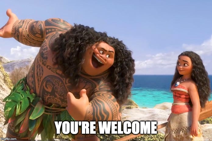 Moana Maui You're Welcome | YOU'RE WELCOME | image tagged in moana maui you're welcome | made w/ Imgflip meme maker