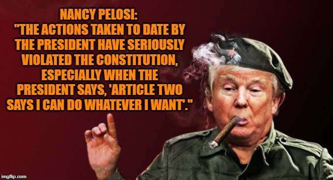 Seriously Violated the Constitution | NANCY PELOSI: 
"THE ACTIONS TAKEN TO DATE BY THE PRESIDENT HAVE SERIOUSLY VIOLATED THE CONSTITUTION, ESPECIALLY WHEN THE PRESIDENT SAYS, 'ARTICLE TWO SAYS I CAN DO WHATEVER I WANT'." | image tagged in donald trump,constitution | made w/ Imgflip meme maker