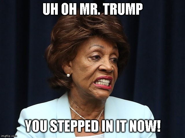 You're In a Heap of Trouble Trump | UH OH MR. TRUMP; YOU STEPPED IN IT NOW! | image tagged in impeach trump,maxine waters | made w/ Imgflip meme maker