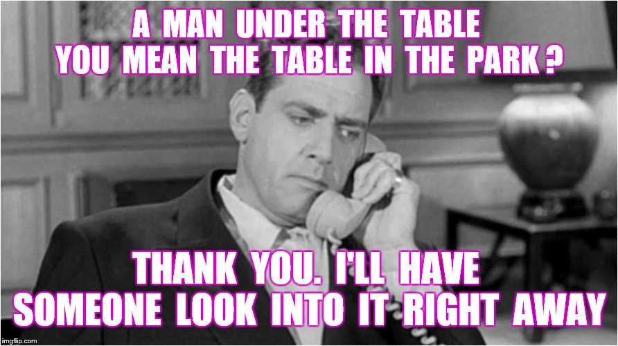 A  MAN  UNDER  THE  TABLE  YOU  MEAN  THE  TABLE  IN  THE  PARK ? THANK  YOU.  I'LL  HAVE  SOMEONE  LOOK  INTO  IT  RIGHT  AWAY | made w/ Imgflip meme maker