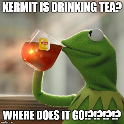 But That's None Of My Business Meme | KERMIT IS DRINKING TEA? WHERE DOES IT GO!?!?!?!? | image tagged in memes,but thats none of my business,kermit the frog | made w/ Imgflip meme maker