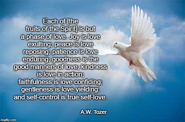 Each of [the fruits of the Spirit] is but a phase of love. Joy is love exulting; peace is love reposing; patience is love enduring; goodness is the good manners of love; kindness is love in action; faithfulness is love confiding; gentleness is love yielding; and self-control is true self-love. A.W. Tozer | image tagged in inspirational quote | made w/ Imgflip meme maker
