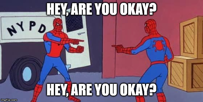 Spider Man Double | HEY, ARE YOU OKAY? HEY, ARE YOU OKAY? | image tagged in spider man double | made w/ Imgflip meme maker