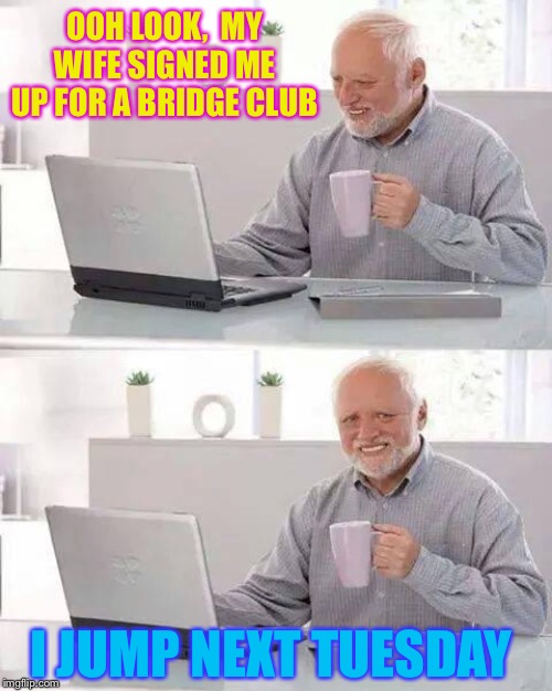 It’s on the cards. |  OOH LOOK,  MY WIFE SIGNED ME UP FOR A BRIDGE CLUB; I JUMP NEXT TUESDAY | image tagged in memes,hide the pain harold,married life | made w/ Imgflip meme maker