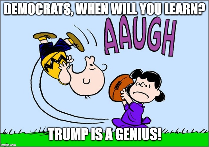 Democrats | DEMOCRATS, WHEN WILL YOU LEARN? TRUMP IS A GENIUS! | image tagged in democrats,donald trump,trump,funny,politics,nancy pelosi | made w/ Imgflip meme maker