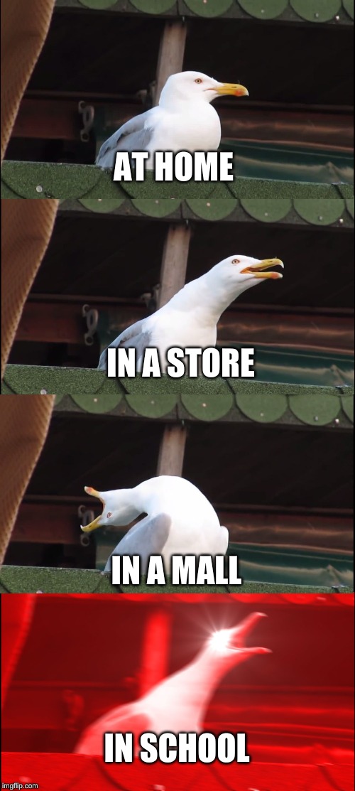 Inhaling Seagull | AT HOME; IN A STORE; IN A MALL; IN SCHOOL | image tagged in memes,inhaling seagull | made w/ Imgflip meme maker