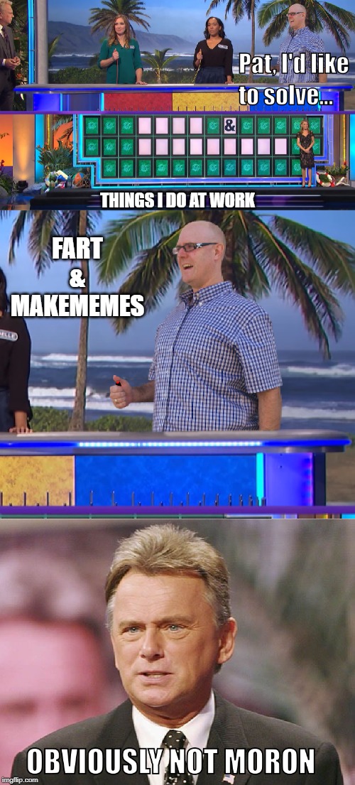 Wheel of Fortune Moron | THINGS I DO AT WORK; FART & MAKEMEMES | image tagged in wheel of fortune moron | made w/ Imgflip meme maker