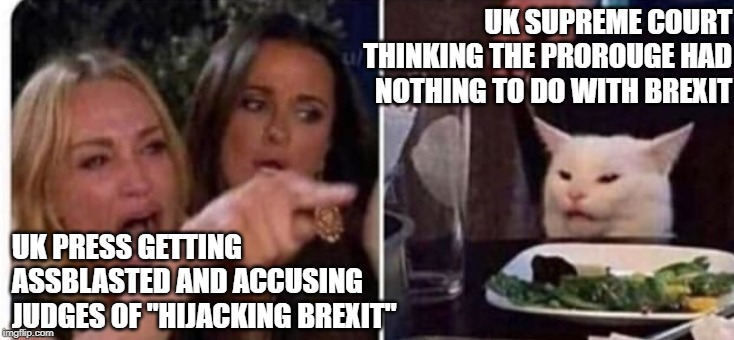 Cat at table | UK SUPREME COURT THINKING THE PROROUGE HAD NOTHING TO DO WITH BREXIT; UK PRESS GETTING ASSBLASTED AND ACCUSING JUDGES OF "HIJACKING BREXIT" | image tagged in cat at table | made w/ Imgflip meme maker