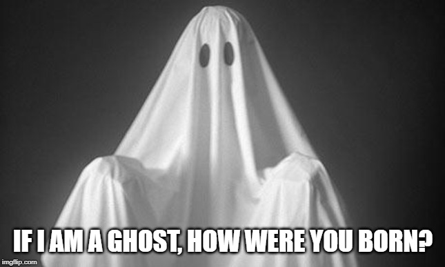 Ghost | IF I AM A GHOST, HOW WERE YOU BORN? | image tagged in ghost | made w/ Imgflip meme maker