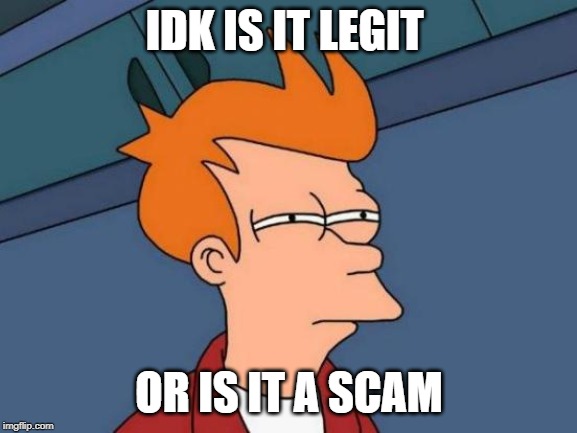 Futurama Fry |  IDK IS IT LEGIT; OR IS IT A SCAM | image tagged in memes,futurama fry | made w/ Imgflip meme maker