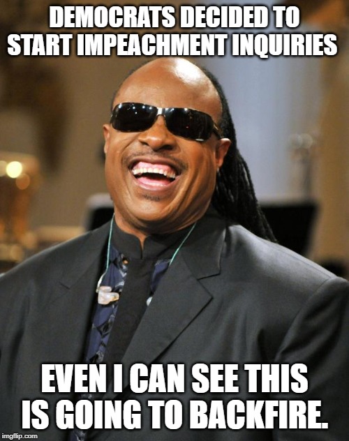 They think this will stop Trump. They are being played again. | DEMOCRATS DECIDED TO START IMPEACHMENT INQUIRIES; EVEN I CAN SEE THIS IS GOING TO BACKFIRE. | image tagged in stevie wonder | made w/ Imgflip meme maker