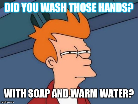 Futurama Fry Meme | DID YOU WASH THOSE HANDS? WITH SOAP AND WARM WATER? | image tagged in memes,futurama fry | made w/ Imgflip meme maker