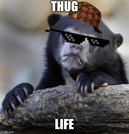 Confession Bear Meme | THUG; LIFE | image tagged in memes,confession bear | made w/ Imgflip meme maker