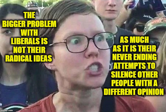 Liberal Trying To Silence Anyone Who Disagress With Their Radical Agenda | AS MUCH AS IT IS THEIR NEVER ENDING ATTEMPTS TO SILENCE OTHER PEOPLE WITH A DIFFERENT OPINION; THE BIGGER PROBLEM WITH LIBERALS IS NOT THEIR RADICAL IDEAS | image tagged in triggered liberal,intolerance,intolerant liberals,hate filled liberals,democrats,liberals vs conservatives | made w/ Imgflip meme maker