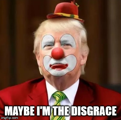 Donald Trump Clown | MAYBE I'M THE DISGRACE | image tagged in donald trump clown,disgrace,narcissist,crazy | made w/ Imgflip meme maker