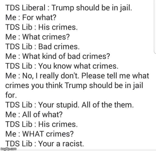 liberal | image tagged in liberal | made w/ Imgflip meme maker