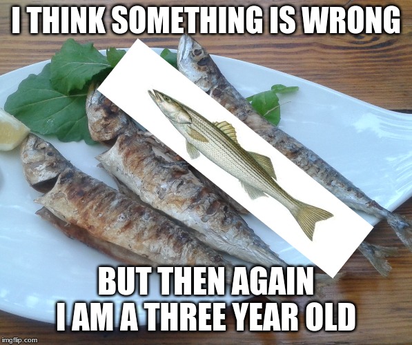 I THINK SOMETHING IS WRONG; BUT THEN AGAIN I AM A THREE YEAR OLD | image tagged in wait a minute,fish | made w/ Imgflip meme maker