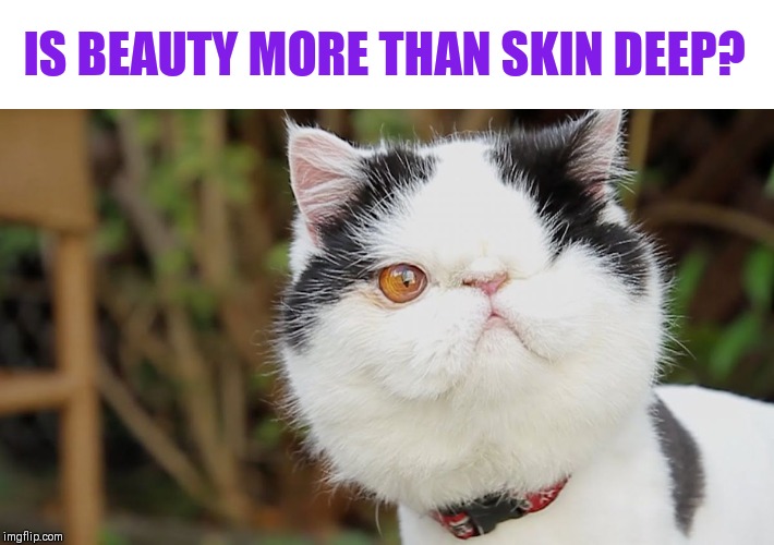 Bit of a cringy question, but what do you find most attractive in another human being? | IS BEAUTY MORE THAN SKIN DEEP? | image tagged in one eye,beauty and the beast | made w/ Imgflip meme maker