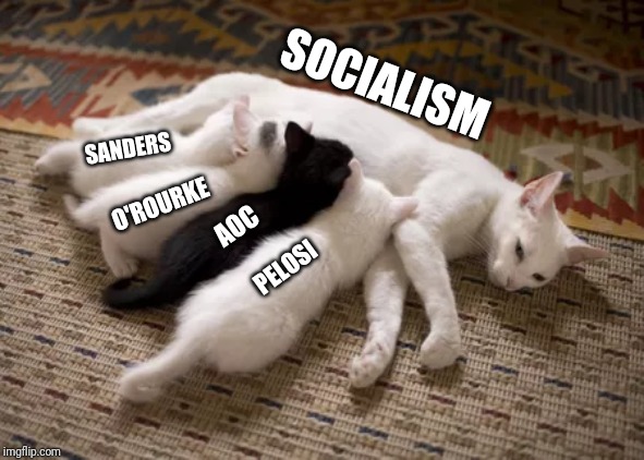 Socialist Furries | SOCIALISM; SANDERS; O'ROURKE; AOC; PELOSI | image tagged in democratic socialism,aoc,bernie sanders,nancy pelosi,stupid liberals,libtards | made w/ Imgflip meme maker