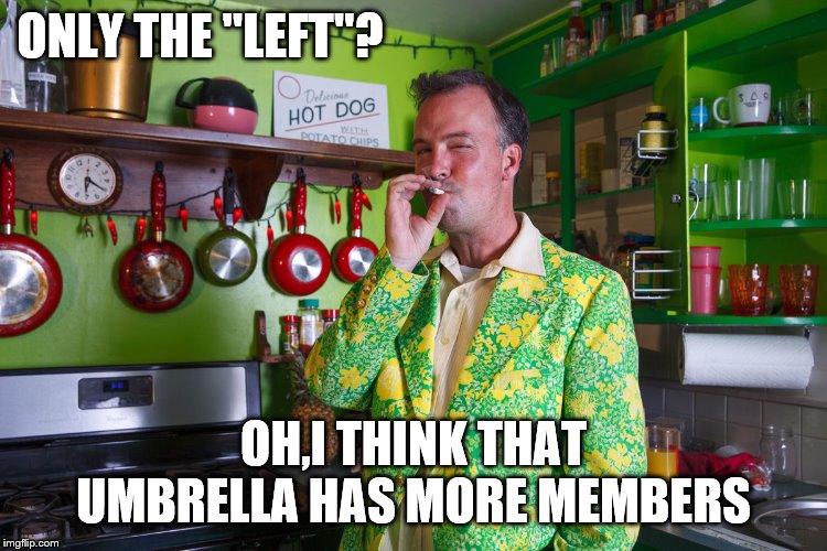 ONLY THE "LEFT"? OH,I THINK THAT UMBRELLA HAS MORE MEMBERS | made w/ Imgflip meme maker