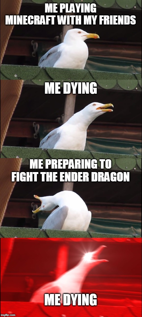 Inhaling Seagull | ME PLAYING MINECRAFT WITH MY FRIENDS; ME DYING; ME PREPARING TO FIGHT THE ENDER DRAGON; ME DYING | image tagged in memes,inhaling seagull | made w/ Imgflip meme maker