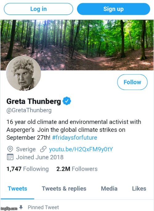 Greta Thunberg | image tagged in greta thunberg | made w/ Imgflip meme maker