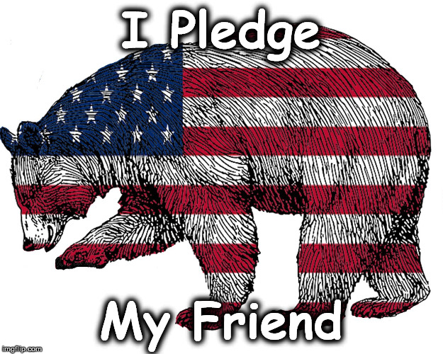 pl | I Pledge; My Friend | image tagged in pl | made w/ Imgflip meme maker