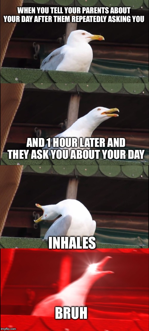 Inhaling Seagull Meme | WHEN YOU TELL YOUR PARENTS ABOUT YOUR DAY AFTER THEM REPEATEDLY ASKING YOU; AND 1 HOUR LATER AND THEY ASK YOU ABOUT YOUR DAY; INHALES; BRUH | image tagged in memes,inhaling seagull | made w/ Imgflip meme maker