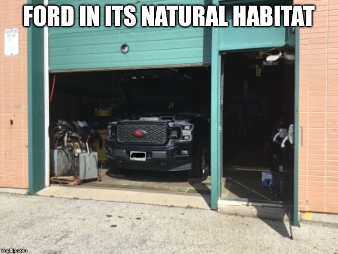 FORD IN ITS NATURAL HABITAT | image tagged in ford jokes,ford truck,ford memes | made w/ Imgflip meme maker