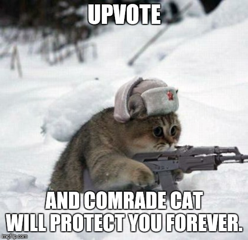 Cute Sad Soviet War Kitten | UPVOTE; AND COMRADE CAT WILL PROTECT YOU FOREVER. | image tagged in cute sad soviet war kitten,cats,cat,memes,upvote | made w/ Imgflip meme maker