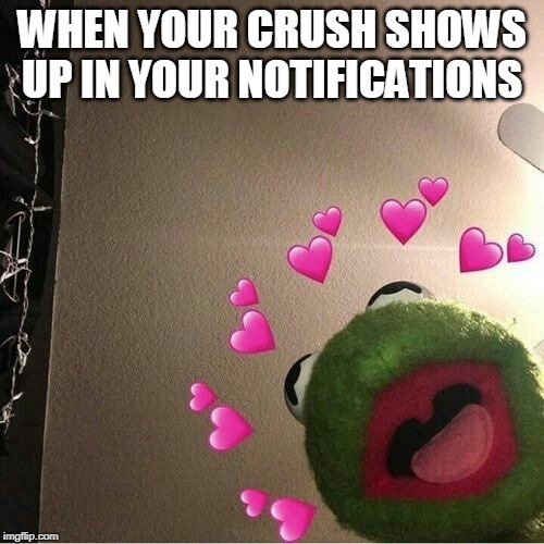 WHEN YOUR CRUSH SHOWS UP IN YOUR NOTIFICATIONS | image tagged in kermit the frog,love,when your crush | made w/ Imgflip meme maker