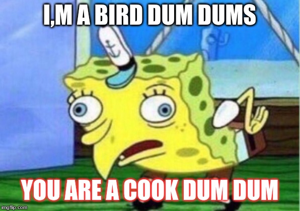 Mocking Spongebob | I,M A BIRD DUM DUMS; YOU ARE A COOK DUM DUM | image tagged in memes,mocking spongebob | made w/ Imgflip meme maker