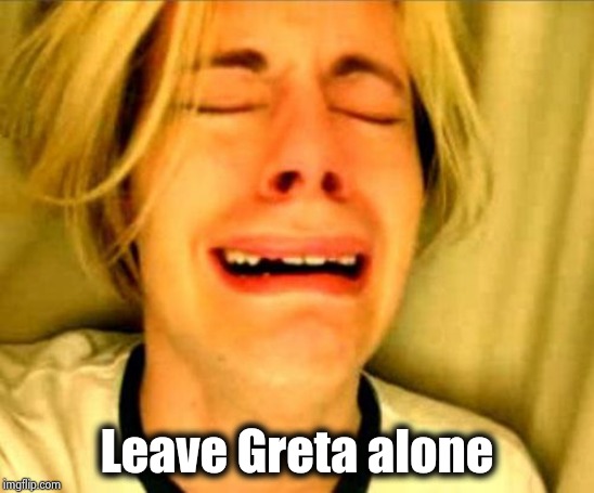 leave alone | Leave Greta alone | image tagged in leave alone | made w/ Imgflip meme maker