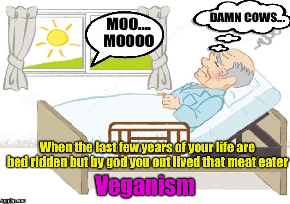 When the last few years of your life are bed ridden but by god you out lived that meat eater; Veganism | image tagged in memes,vegan,vegetarian | made w/ Imgflip meme maker