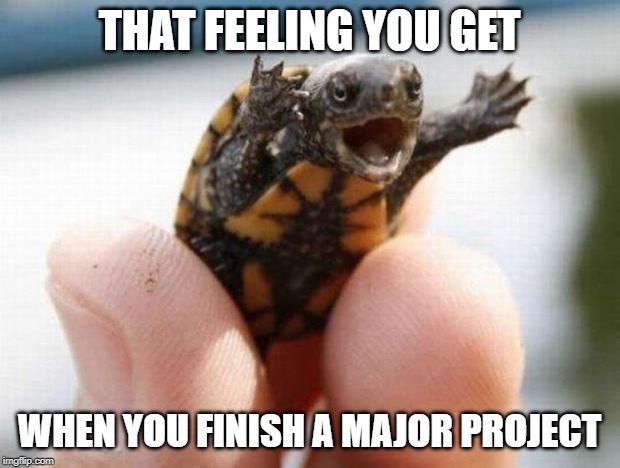 happy baby turtle | THAT FEELING YOU GET; WHEN YOU FINISH A MAJOR PROJECT | image tagged in happy baby turtle | made w/ Imgflip meme maker